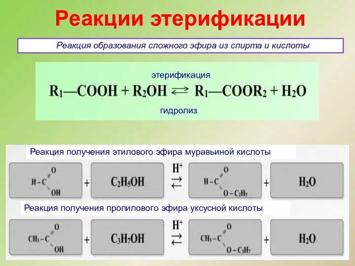 Реакции этерификации Реакция образования сложного эфира из спирта и кислоты