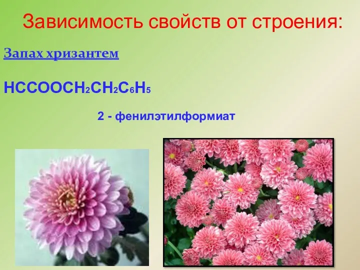 Зависимость свойств от строения: Запах хризантем НССООСН2СН2С6Н5 2 - фенилэтилформиат