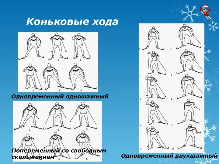 Коньковые хода Одновременный одношажный Попеременный со свободным скольжением Одновременный двухшажный