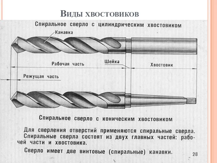 Виды хвостовиков