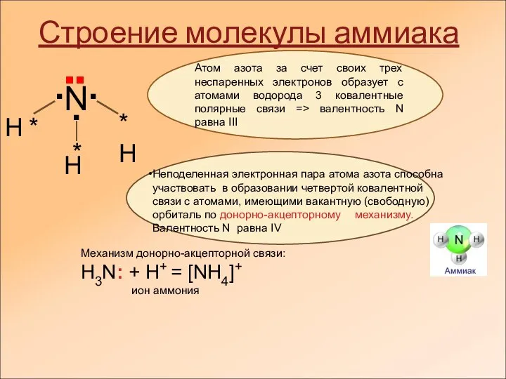 Строение молекулы аммиака ▪ ▪ ▪ Н * * *Н Н