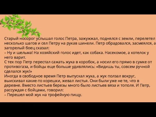 Старый носорог услышал голос Петра, зажужжал, поднялся с земли, перелетел несколько