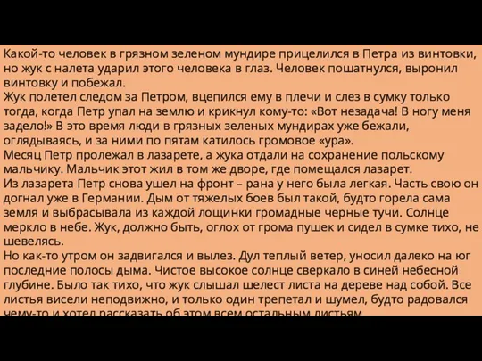 Какой-то человек в грязном зеленом мундире прицелился в Петра из винтовки,