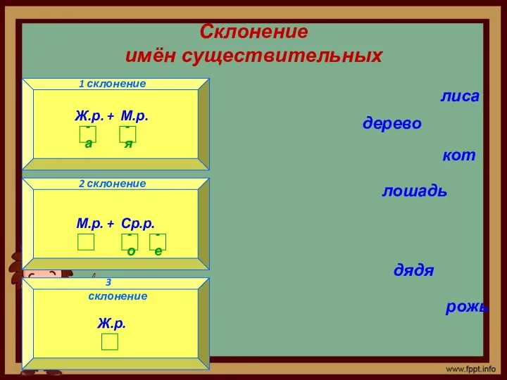 Склонение имён существительных 1 склонение 3 склонение 2 склонение лиса дерево кот лошадь дядя рожь