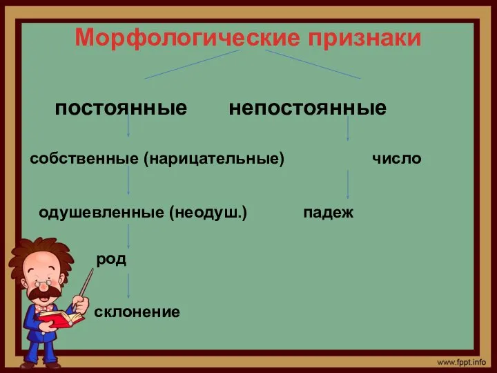 Морфологические признаки постоянные непостоянные собственные (нарицательные) число одушевленные (неодуш.) падеж род склонение