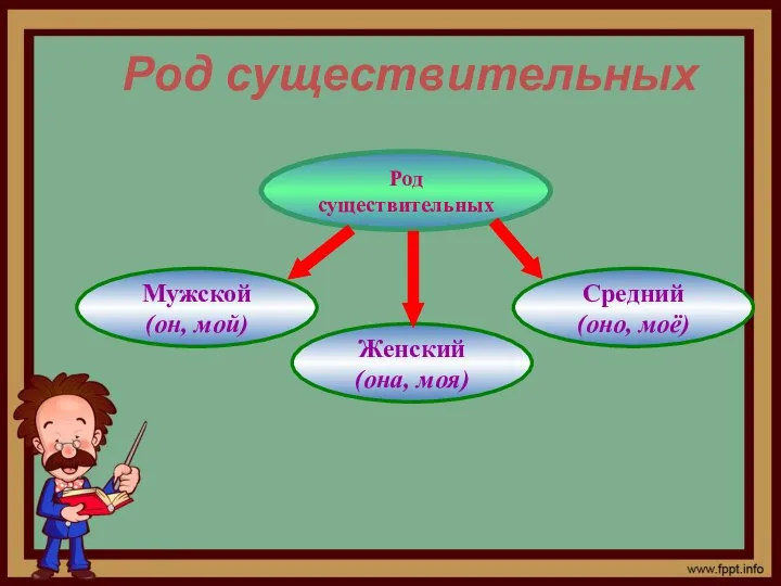 Род существительных Род существительных Мужской (он, мой) Женский (она, моя) Средний (оно, моё)