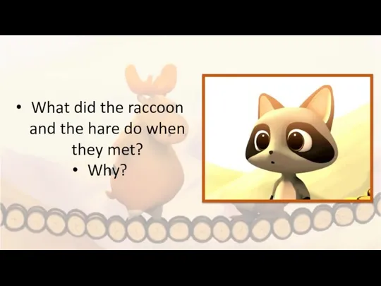 What did the raccoon and the hare do when they met? Why?