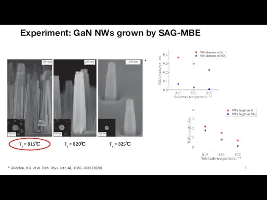 Experiment: GaN NWs grown by SAG-MBE Ts = 815℃ Ts =