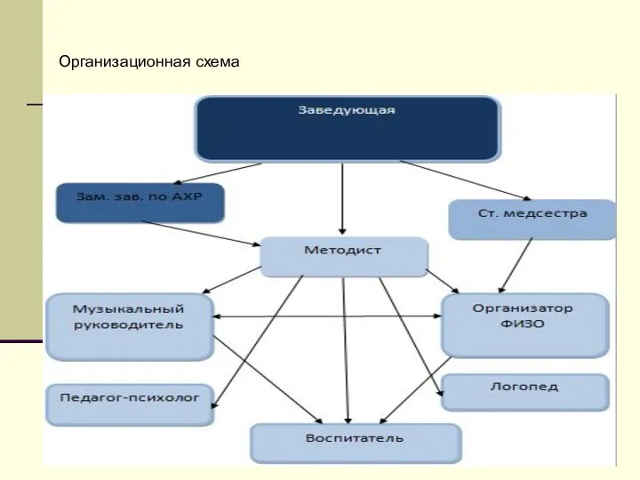 Организационная схема