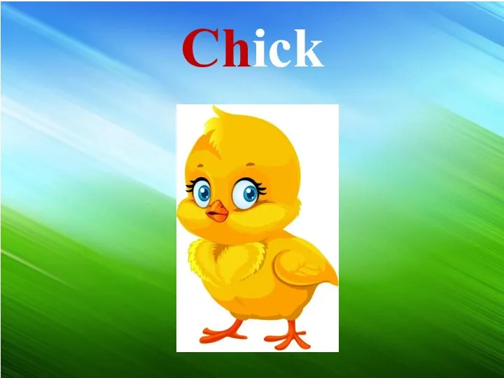 Chick