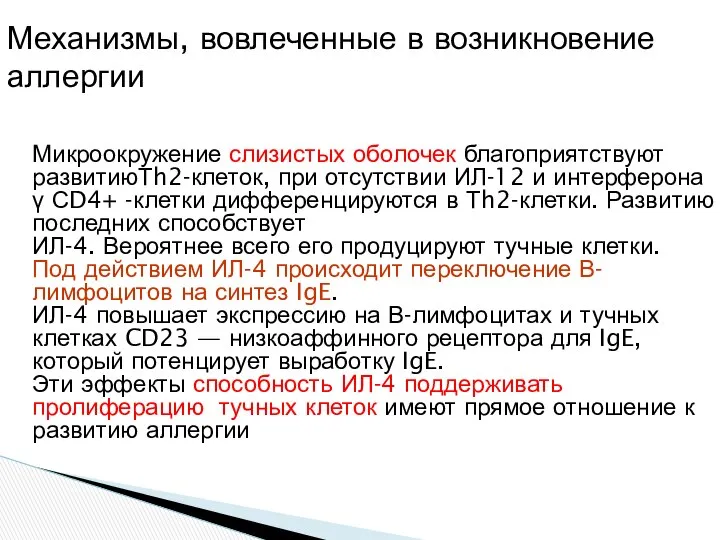 Микроокружение слизистых оболочек благоприятствуют развитиюТh2-клеток, при отсутствии ИЛ-12 и интерферона γ