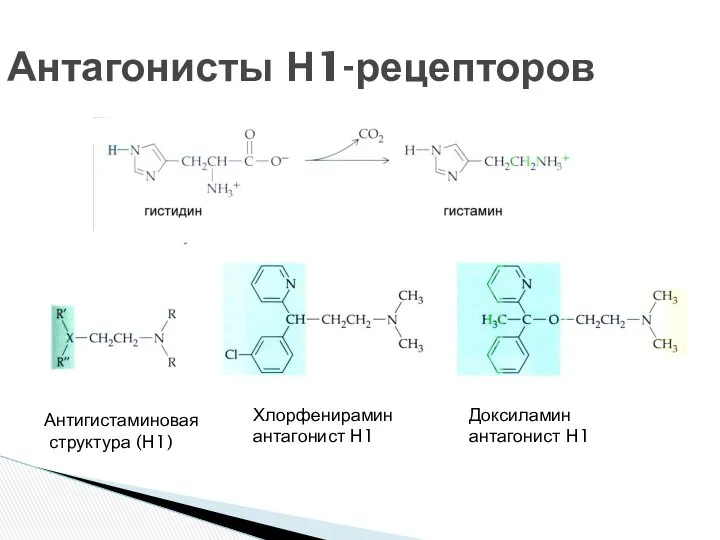 Антагонисты Н1-рецепторов Антигистаминовая структура (Н1) Хлорфенирамин антагонист Н1 Доксиламин антагонист Н1