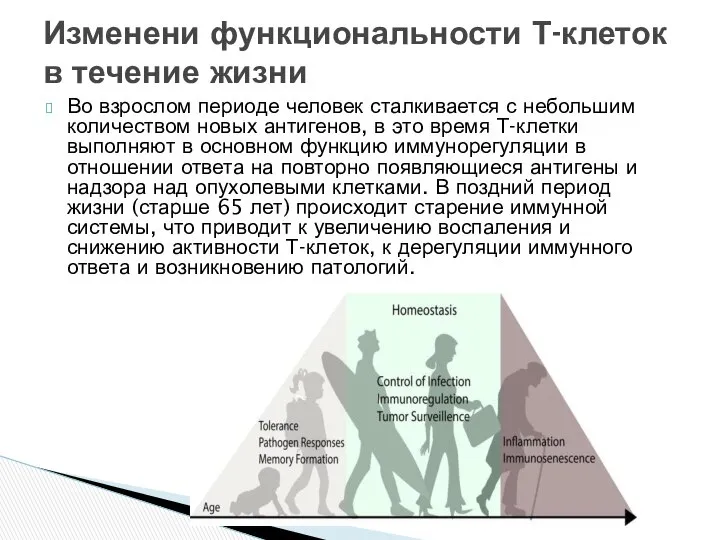 Во взрослом периоде человек сталкивается с небольшим количеством новых антигенов, в