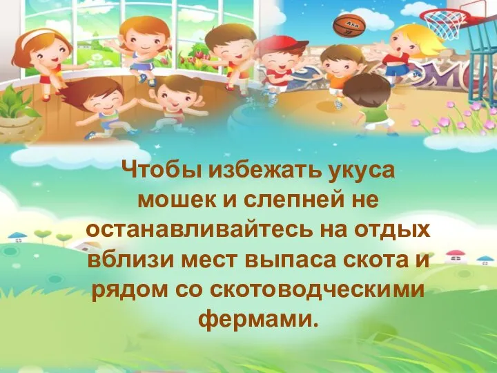 Чтобы избежать укуса мошек и слепней не останавливайтесь на отдых вблизи