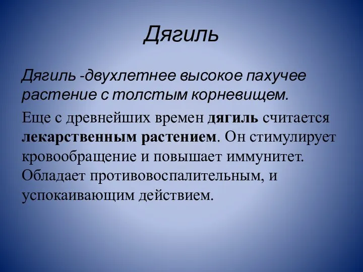 Дягиль Дягиль -двухлетнее высокое пахучее растение с толстым корневищем. Еще с