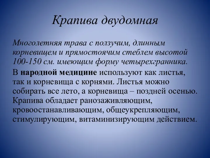 Крапива двудомная Многолетняя трава с ползучим, длинным корневищем и прямостоячим стеблем