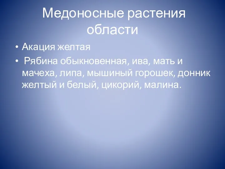 Медоносные растения области Акация желтая Рябина обыкновенная, ива, мать и мачеха,