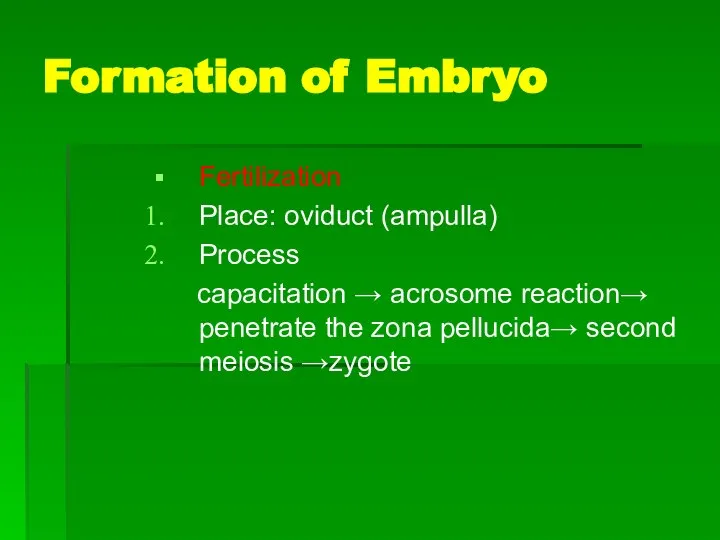 Formation of Embryo Fertilization Place: oviduct (ampulla) Process capacitation → acrosome