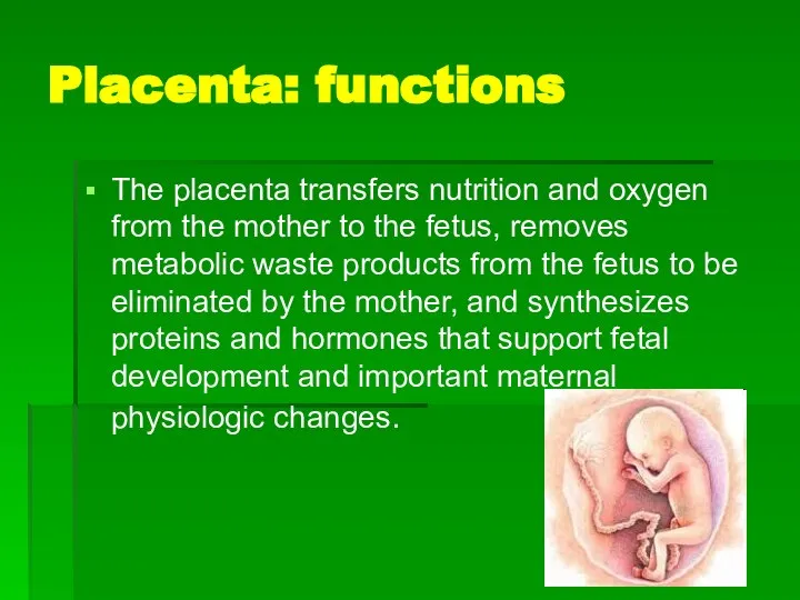 Placenta: functions The placenta transfers nutrition and oxygen from the mother