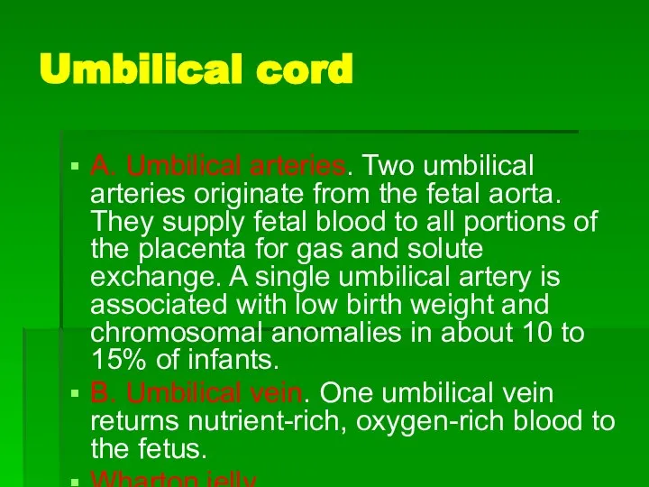 Umbilical cord A. Umbilical arteries. Two umbilical arteries originate from the