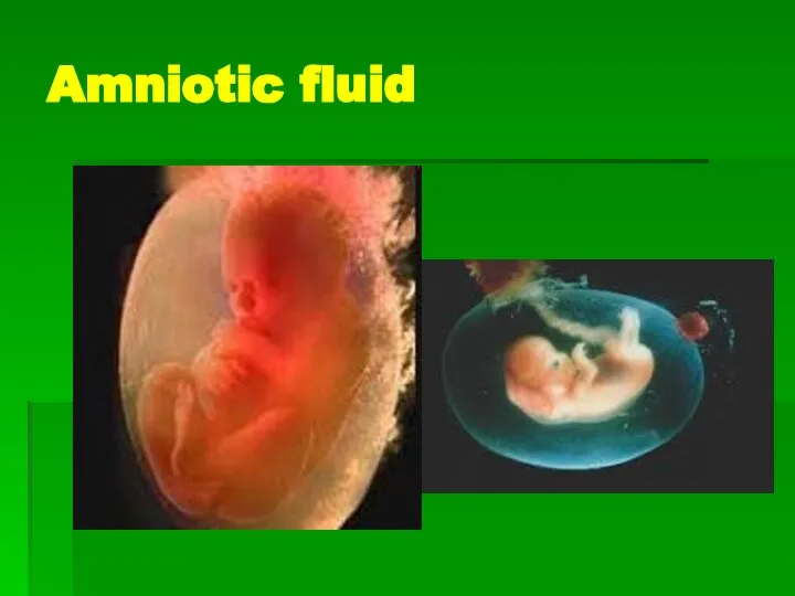 Amniotic fluid