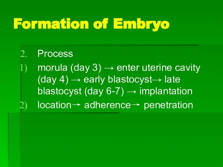Formation of Embryo Process morula (day 3) → enter uterine cavity