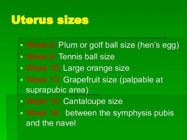 Uterus sizes Week 6: Plum or golf ball size (hen’s egg)