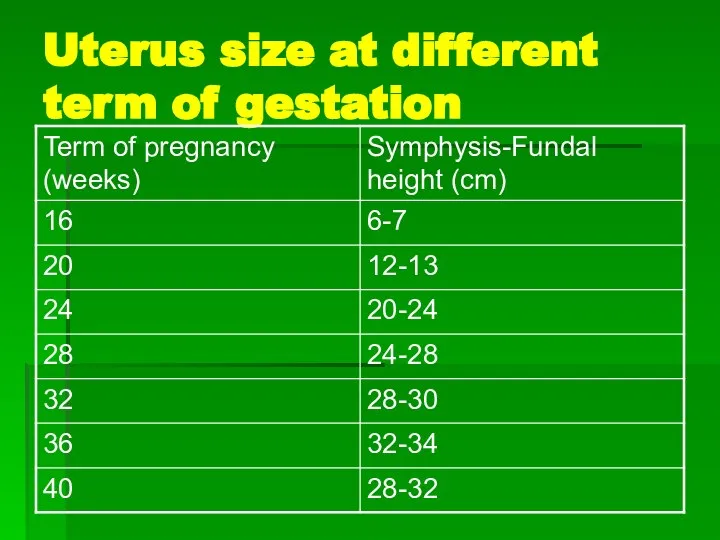 Uterus size at different term of gestation