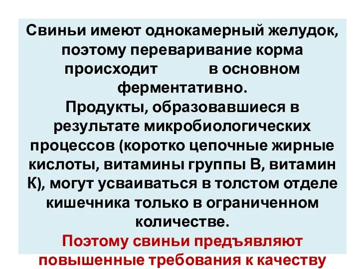 Свиньи имеют однокамерный желудок, поэтому переваривание корма происходит в основном ферментативно.