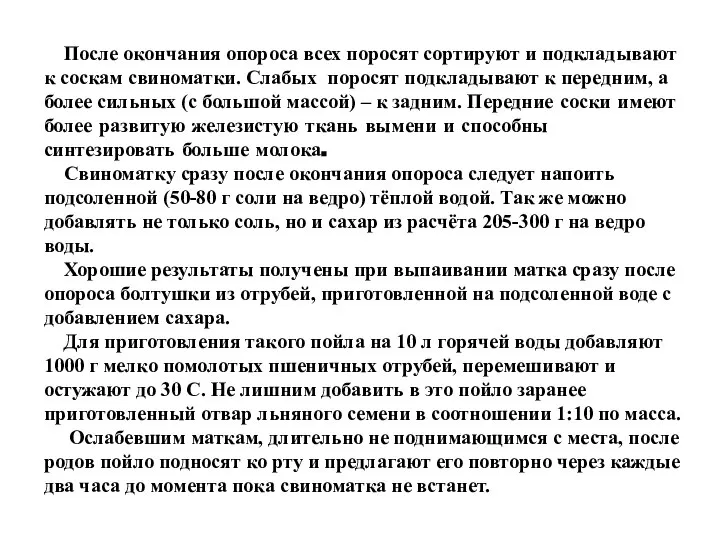 После окончания опороса всех поросят сортируют и подкладывают к соскам свиноматки.