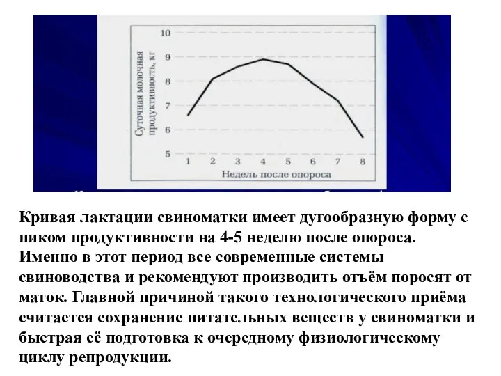 Кривая лактации свиноматки имеет дугообразную форму с пиком продуктивности на 4-5