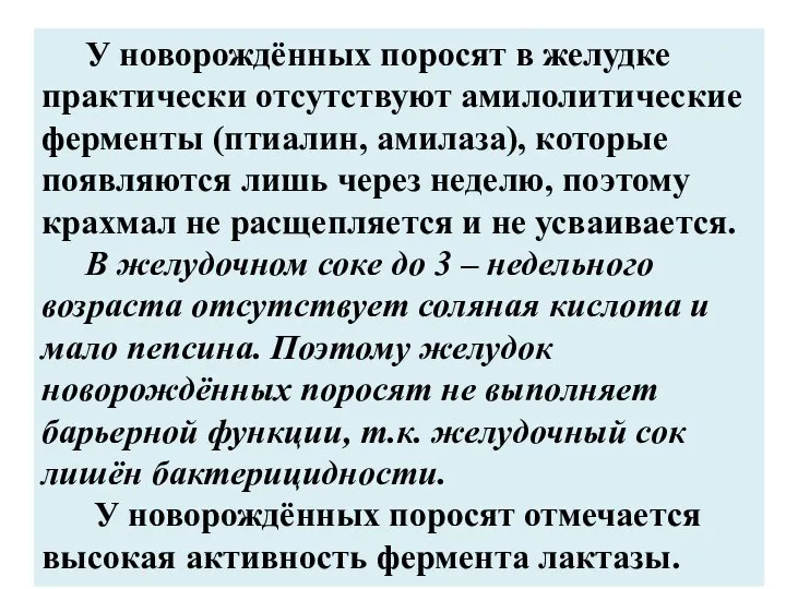 У новорождённых поросят в желудке практически отсутствуют амилолитические ферменты (птиалин, амилаза),