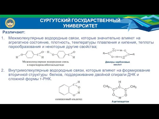 СУРГУТСКИЙ ГОСУДАРСТВЕННЫЙ УНИВЕРСИТЕТ Различают: Межмолекулярные водородные связи, которые значительно влияют на