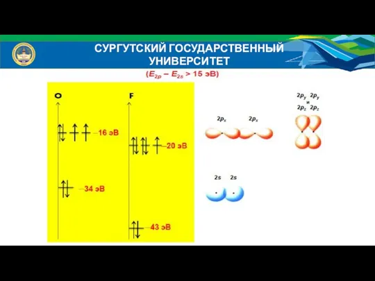 СУРГУТСКИЙ ГОСУДАРСТВЕННЫЙ УНИВЕРСИТЕТ