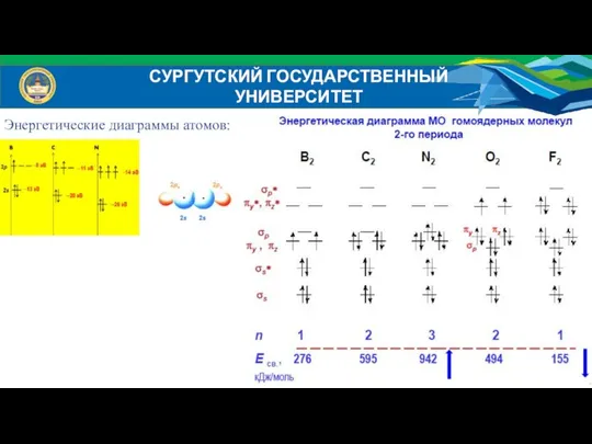 СУРГУТСКИЙ ГОСУДАРСТВЕННЫЙ УНИВЕРСИТЕТ Энергетические диаграммы атомов: