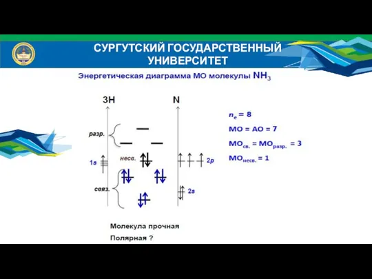 Спасибо за внимание! Вопросы? СУРГУТСКИЙ ГОСУДАРСТВЕННЫЙ УНИВЕРСИТЕТ