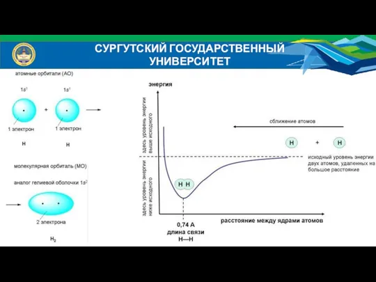 СУРГУТСКИЙ ГОСУДАРСТВЕННЫЙ УНИВЕРСИТЕТ