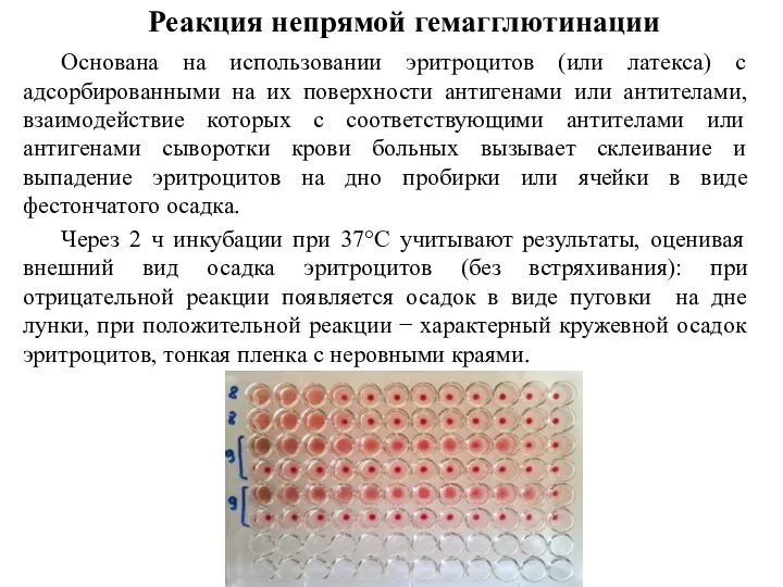 Реакция непрямой гемагглютинации Основана на использовании эритроцитов (или латекса) с адсорбированными