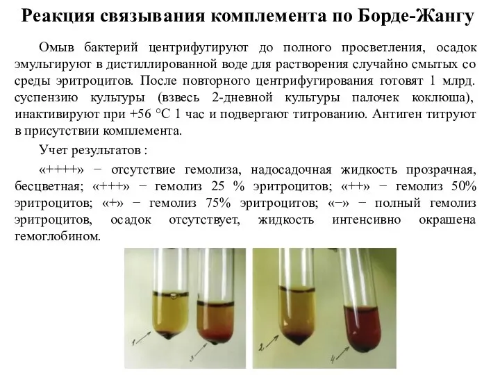 Реакция связывания комплемента по Борде-Жангу Омыв бактерий центрифугируют до полного просветления,