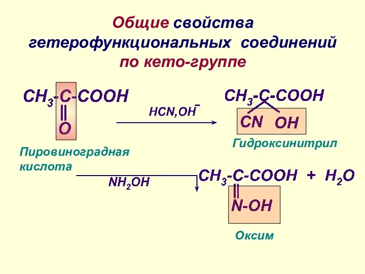 Общие свойства гетерофункциональных соединений по кето-группе Пировиноградная кислота Гидроксинитрил Оксим