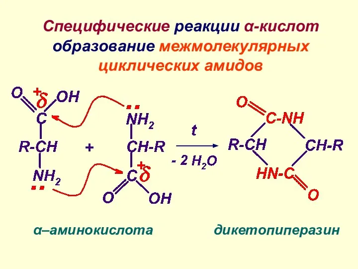 Специфические реакции α-кислот образование межмолекулярных циклических амидов α–аминокислота дикетопиперазин