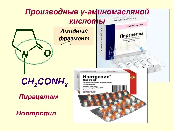 Производные γ-аминомасляной кислоты Амидный фрагмент Пирацетам Ноотропил