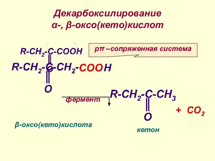 Декарбоксилирование α-, β-оксо(кето)кислот pπ –сопряженная система фермент β-оксо(кето)кислота кетон