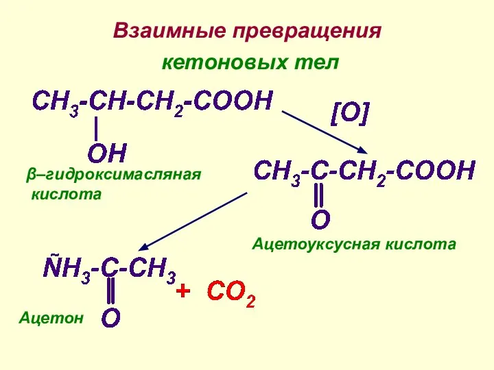 Взаимные превращения кетоновых тел β–гидроксимасляная кислота Ацетоуксусная кислота Ацетон