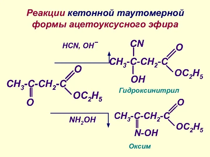 Реакции кетонной таутомерной формы ацетоуксусного эфира Гидроксинитрил Оксим