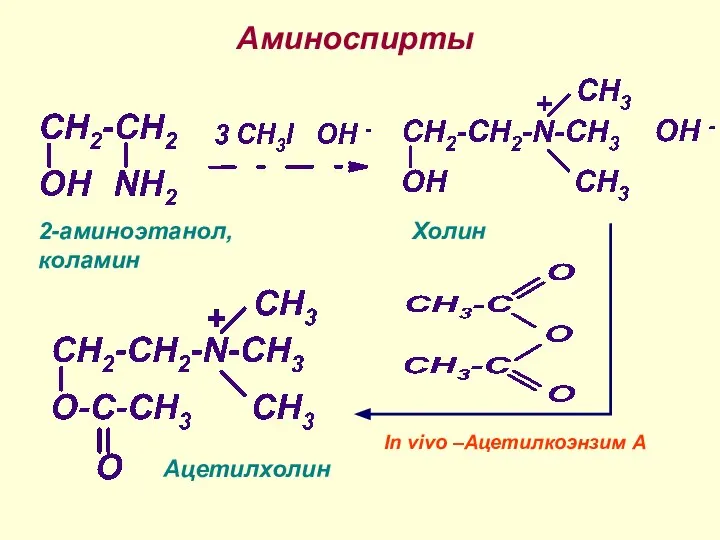 Аминоспирты 2-аминоэтанол, коламин Холин Ацетилхолин In vivo –Ацетилкоэнзим А