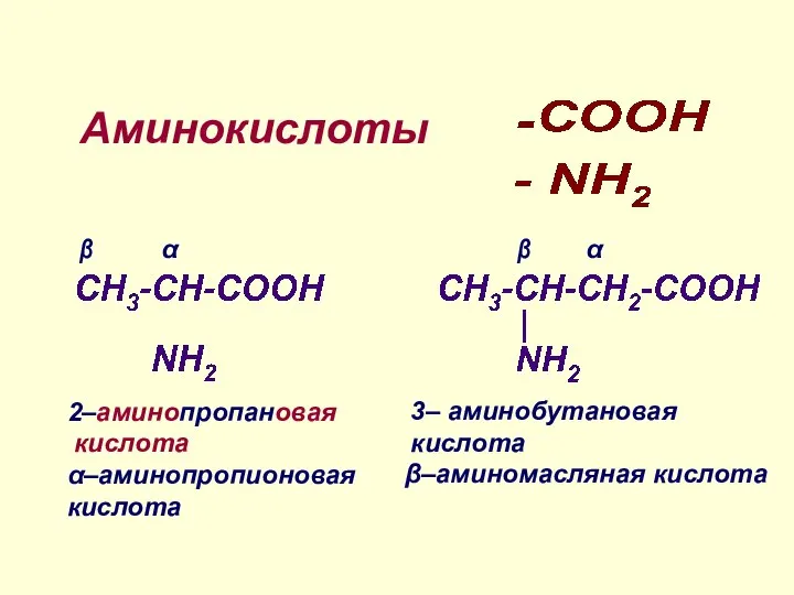 Аминокислоты 2–аминопропановая кислота α–аминопропионовая кислота α β α β 3– аминобутановая кислота β–аминомасляная кислота