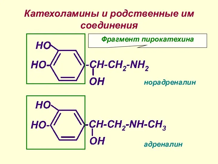 Катехоламины и родственные им соединения норадреналин адреналин Фрагмент пирокатехина