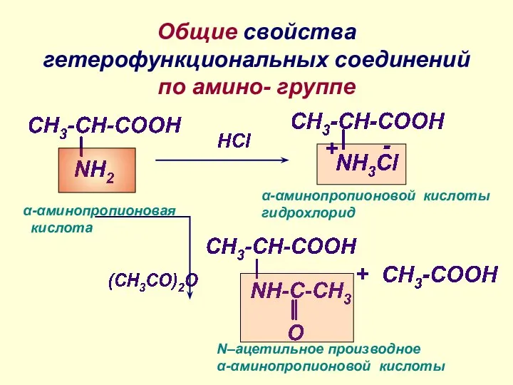 Общие свойства гетерофункциональных соединений по амино- группе N–ацетильное производное α-αминопропионовой кислоты α-αминопропионовой кислоты гидрохлорид α-αминопропионовая кислота