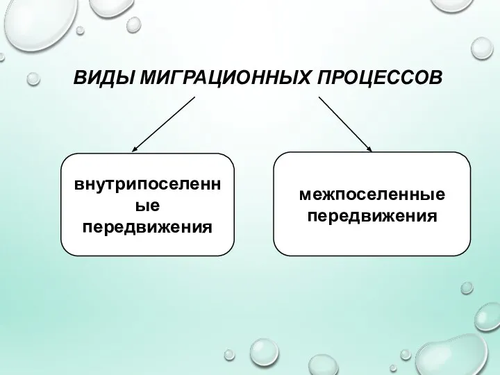 ВИДЫ МИГРАЦИОННЫХ ПРОЦЕССОВ внутрипоселенные передвижения межпоселенные передвижения